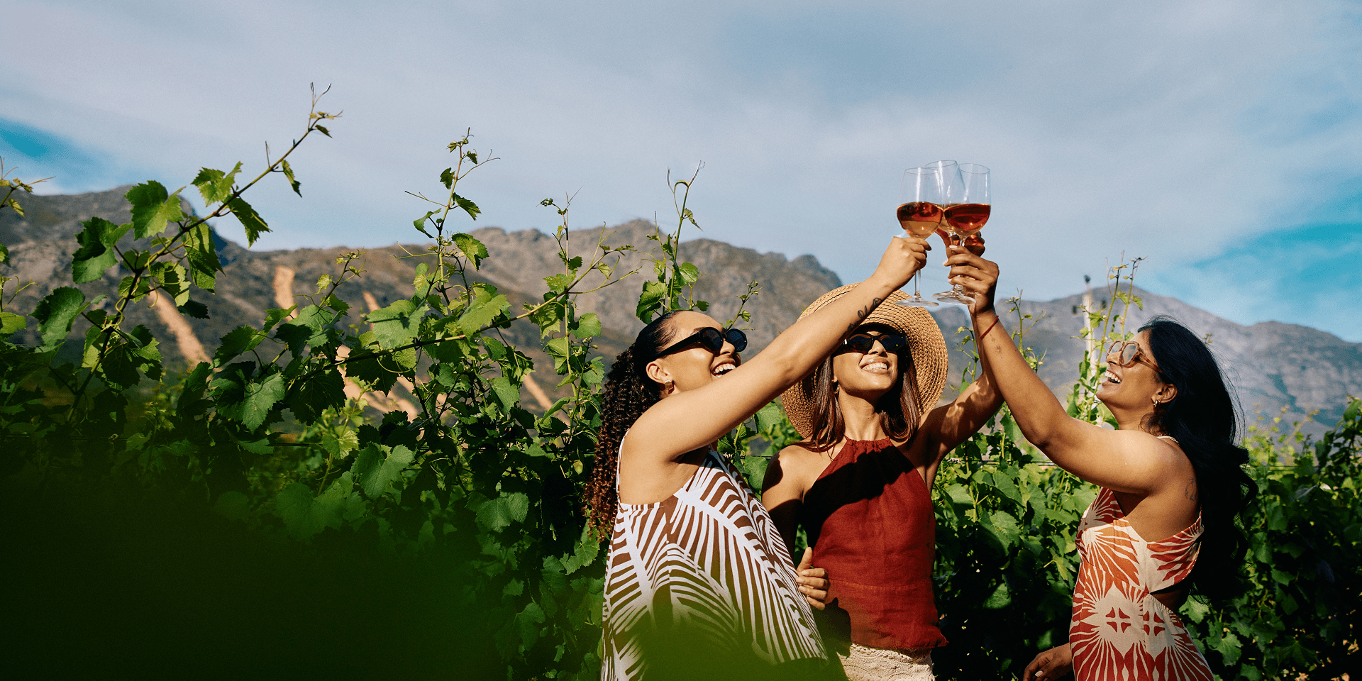 Women toasting with wine in vineyard