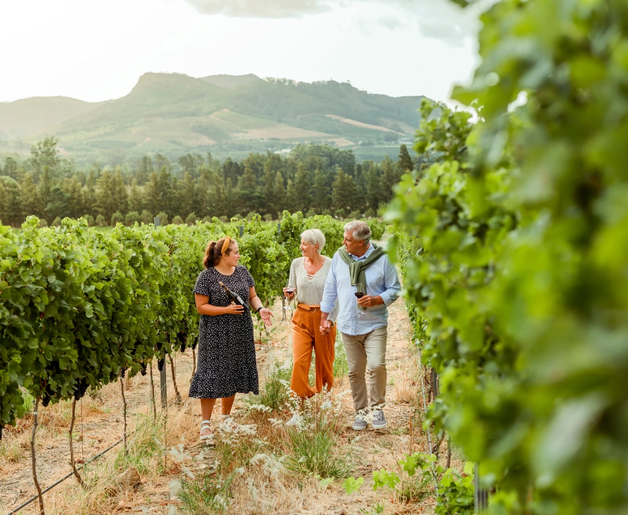 People walking in a vineyard