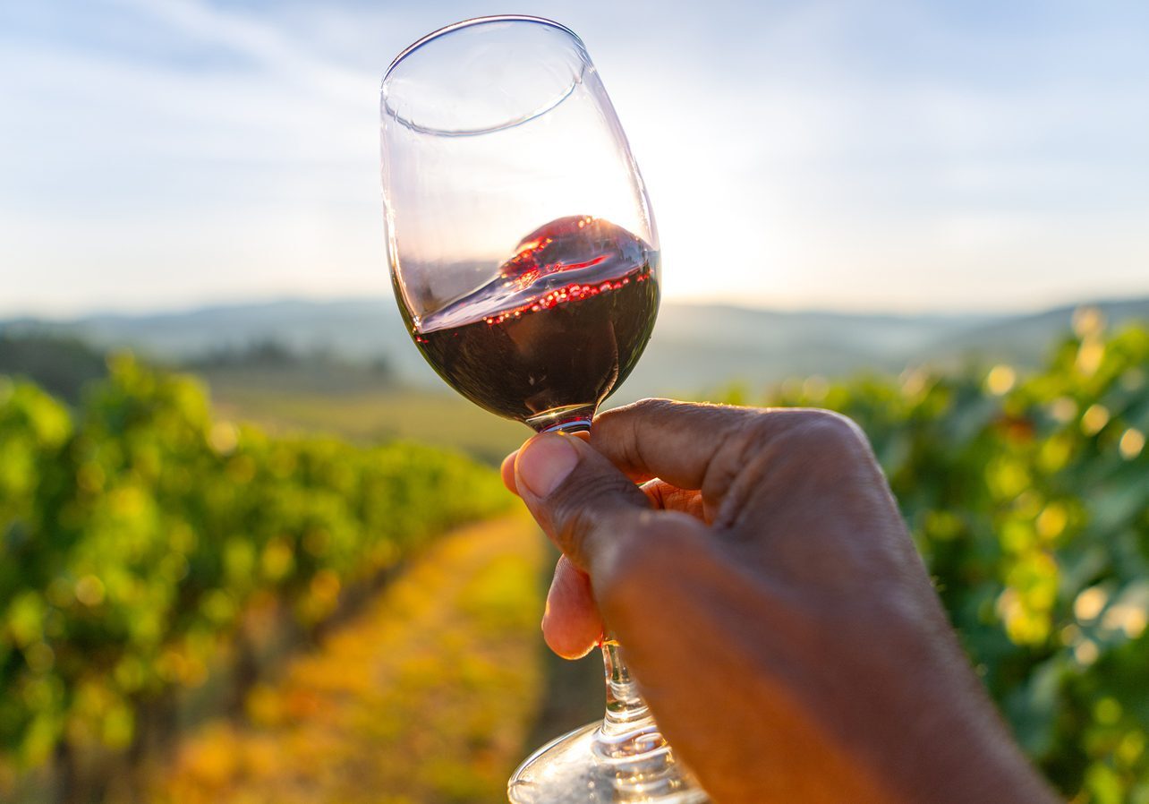 Hand holding wine glass in vineyard.